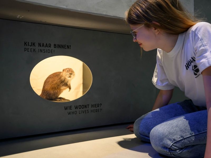 Cruquius Museum